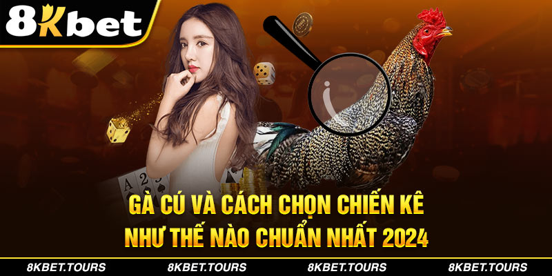 Gà Cú Và Cách Chọn Chiến Kê Từ Cao Thủ Chuẩn Nhất 2024